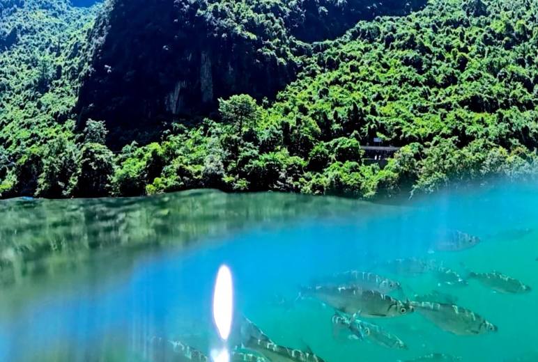 【玩水季】藏在桂北的夏日清凉奇遇